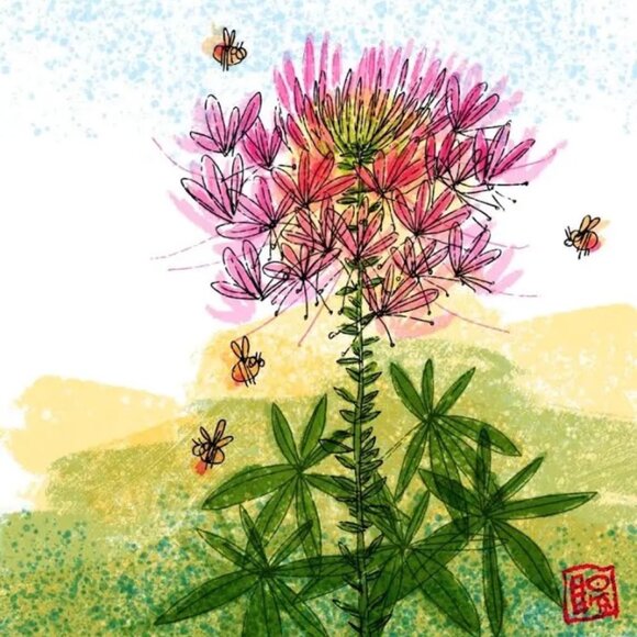 Meet your Posher, Linda - Picture 1 of 1